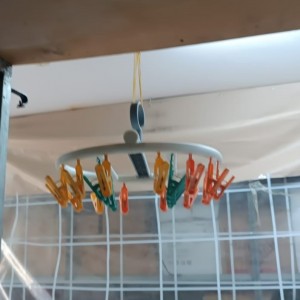 علاقة جرابين ملاقط بلاستيك ملون علاقة جرابين ملاقط بلاستيك ملون